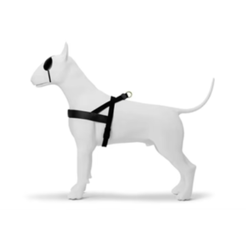 Morso Norwegisches Hundegeschirr Recycelt Kaviar Gold